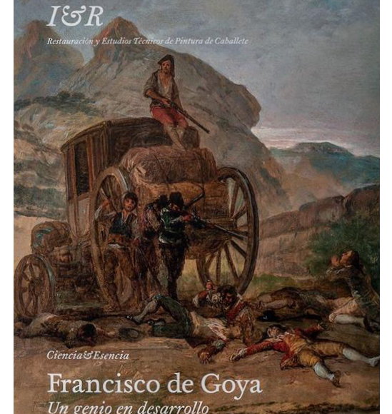 Francisco de Goya. Un Genio en desarrollo.